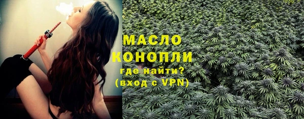 индика Ладушкин