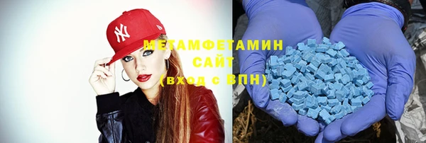 индика Ладушкин