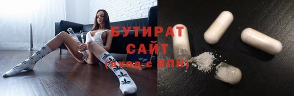индика Ладушкин