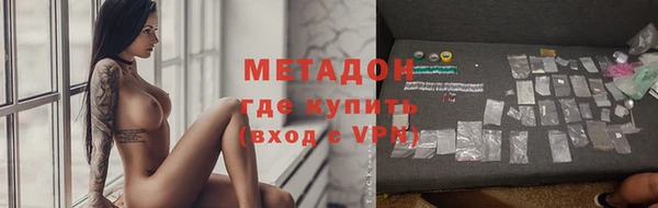 индика Ладушкин