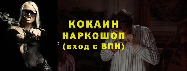 индика Ладушкин
