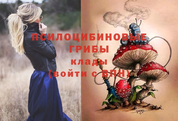 молекула духа Навашино
