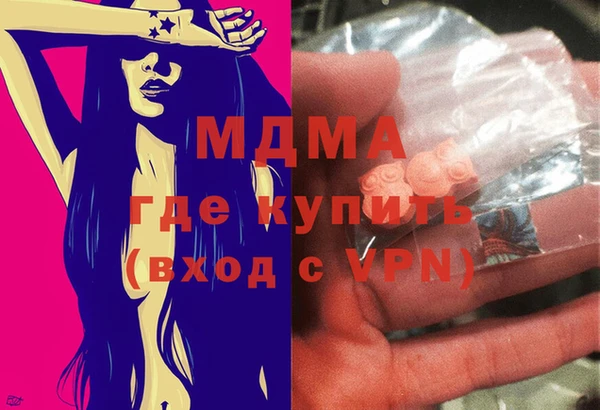 индика Ладушкин