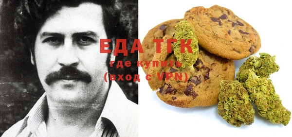 индика Ладушкин