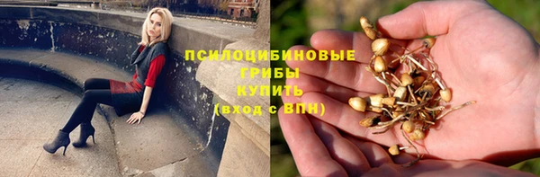 индика Ладушкин