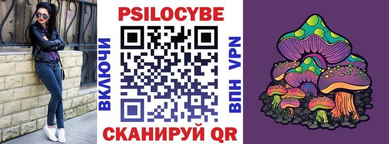 кракен Фурманов Псилоцибиновые грибы мицелий