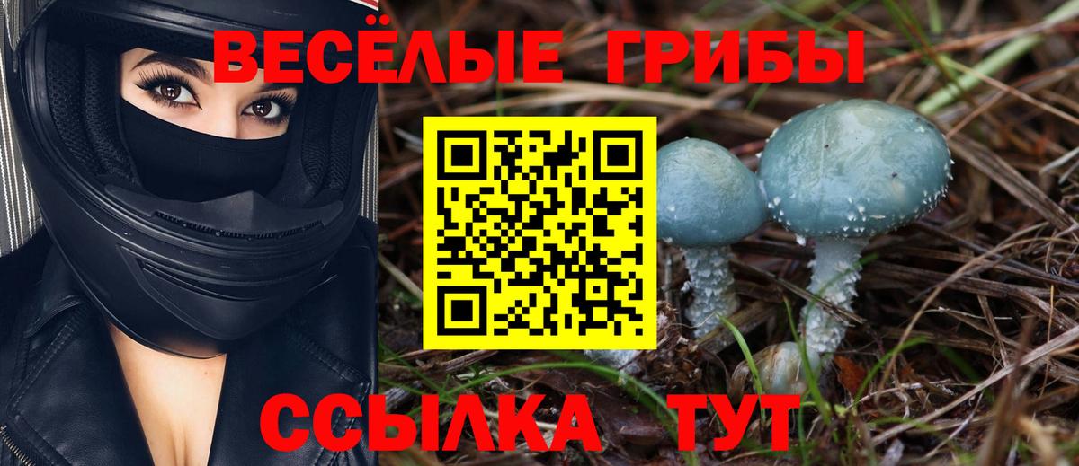 Псилоцибиновые грибы мухоморы  Галлюциногенные грибы прущие грибы  Вход с VPN  Фурманов 